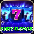 andy flower Slots Deluxe v2.0.4