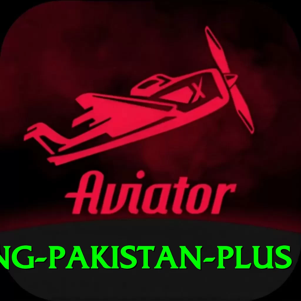 Cricket Betting Pakistan Max Slots - 2