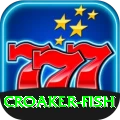 croaker fish VIP 2024