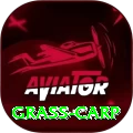grass carp - Casino Extreme