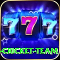ireland cricket team - King Edition v3.9.6