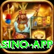 pakbet88 Royal Casino App