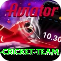 pakistan women cricket team Bonus Max v1.8.4