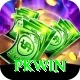 PKWin VIP