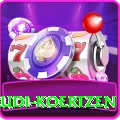 rudi koertzen App Mega v1.6.4