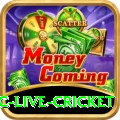 smartcric live cricket APK Pro v1.0.9