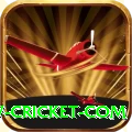 www cricket com - Plus v1.4.9